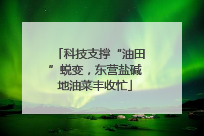 科技支撑“油田”蜕变，东营盐碱地油菜丰收忙