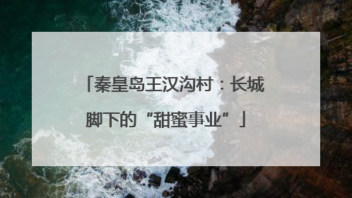 秦皇岛王汉沟村：长城脚下的“甜蜜事业”
