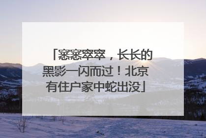 窸窸窣窣，长长的黑影一闪而过！北京有住户家中蛇出没