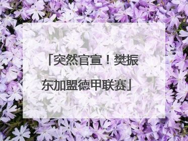 突然官宣！樊振东加盟德甲联赛