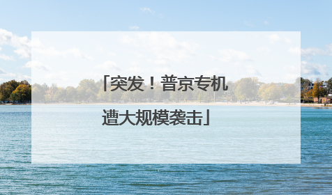 突发！普京专机遭大规模袭击