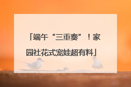 端午“三重奏”！家园社花式宠娃超有料
