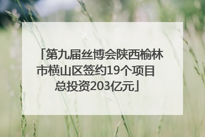 第九届丝博会陕西榆林市横山区签约19个项目 总投资203亿元