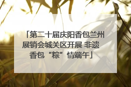 第二十届庆阳香包兰州展销会城关区开展 非遗香包“粽”情端午