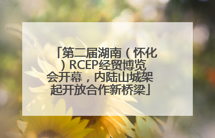 第二届湖南（怀化）RCEP经贸博览会开幕，内陆山城架起开放合作新桥梁