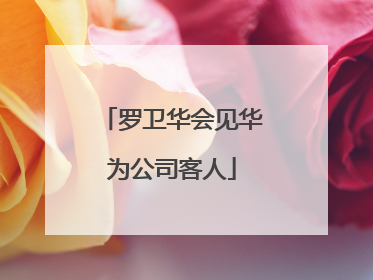 罗卫华会见华为公司客人