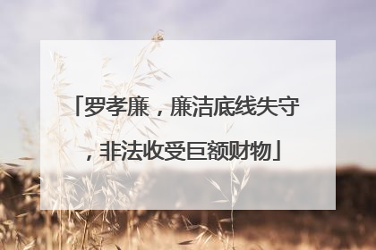 罗孝廉，廉洁底线失守，非法收受巨额财物