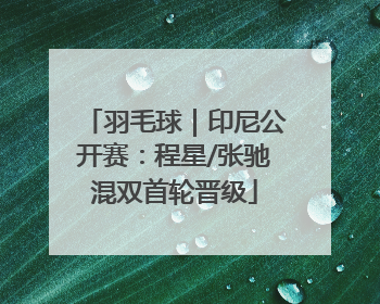 羽毛球｜印尼公开赛：程星/张驰混双首轮晋级
