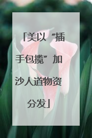美以“插手包揽”加沙人道物资分发