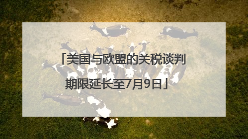 美国与欧盟的关税谈判期限延长至7月9日