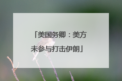 美国务卿：美方未参与打击伊朗