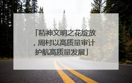 精神文明之花绽放，周村以高质量审计护航高质量发展