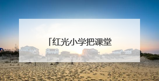 红光小学把课堂搬到了麦田里