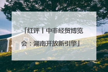 红评丨中非经贸博览会：湖南开放新引擎