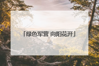绿色军营 向阳花开
