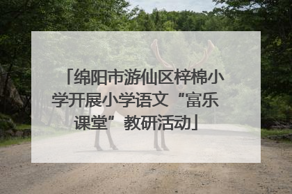 绵阳市游仙区梓棉小学开展小学语文“富乐课堂”教研活动