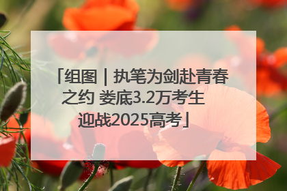 组图｜执笔为剑赴青春之约 娄底3.2万考生迎战2025高考