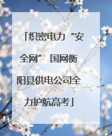 织密电力“安全网” 国网衡阳县供电公司全力护航高考