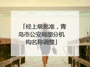 经上级批准，青岛市公安局部分机构名称调整