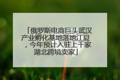 俄罗斯电商巨头武汉产业孵化基地落地江夏，今年预计入驻上千家湖北跨境卖家