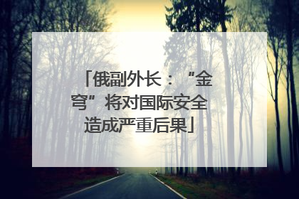 俄副外长：“金穹”将对国际安全造成严重后果
