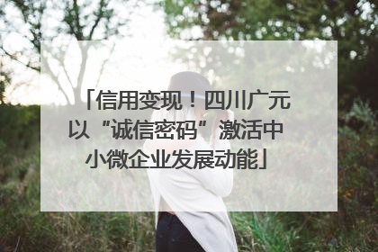 信用变现！四川广元以“诚信密码”激活中小微企业发展动能