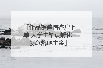 作品被德国客户下单 大学生毕设孵化创意落地生金