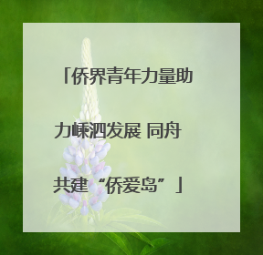 侨界青年力量助力嵊泗发展 同舟共建“侨爱岛”