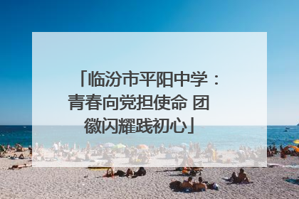 临汾市平阳中学:青春向党担使命 团徽闪耀践初心