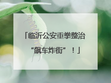 临沂公安重拳整治“飙车炸街”！