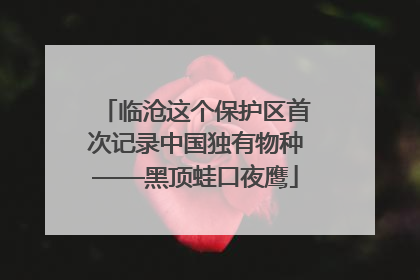 临沧这个保护区首次记录中国独有物种——黑顶蛙口夜鹰