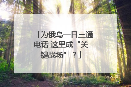 为俄乌一日三通电话 这里成“关键战场”？