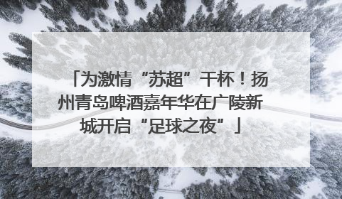 为激情“苏超”干杯！扬州青岛啤酒嘉年华在广陵新城开启“足球之夜”