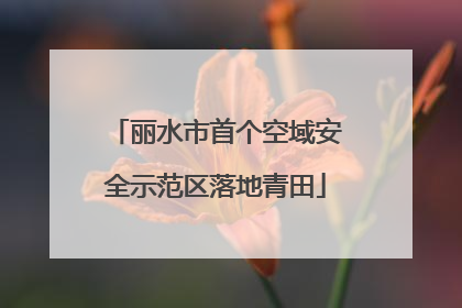 丽水市首个空域安全示范区落地青田