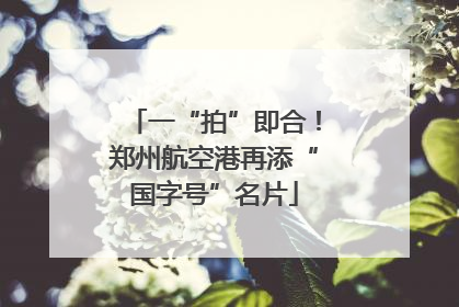 一“拍”即合！郑州航空港再添“国字号”名片