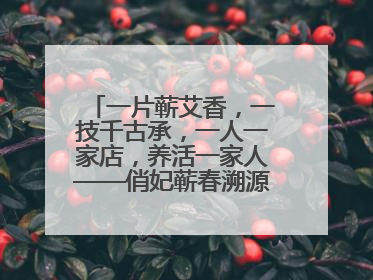 一片蕲艾香，一技千古承，一人一家店，养活一家人——俏妃蕲春溯源直播解码中医养生文化传承