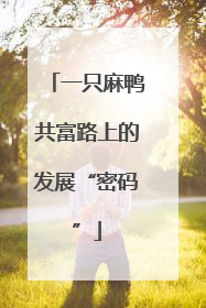 一只麻鸭共富路上的发展“密码”