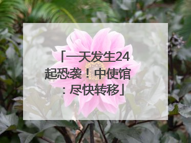 一天发生24起恐袭！中使馆：尽快转移