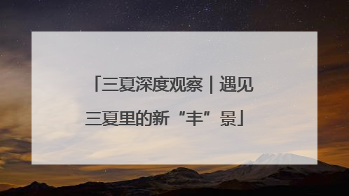 三夏深度观察｜遇见三夏里的新“丰”景