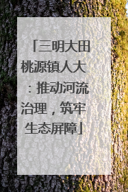 三明大田桃源镇人大：推动河流治理，筑牢生态屏障