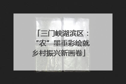 三门峡湖滨区：“农”墨重彩绘就乡村振兴新画卷