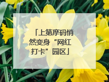 上第摩码悄然变身“网红打卡”园区