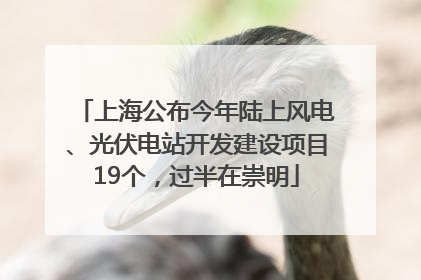 上海公布今年陆上风电、光伏电站开发建设项目19个，过半在崇明