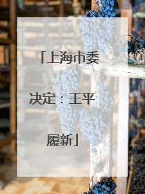 上海市委决定：王平履新