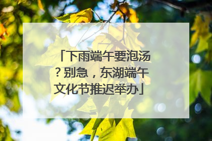 下雨端午要泡汤？别急，东湖端午文化节推迟举办