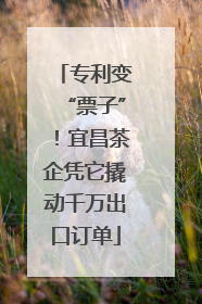 专利变“票子”！宜昌茶企凭它撬动千万出口订单