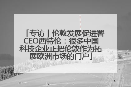 专访丨伦敦发展促进署CEO西特伦：很多中国科技企业正把伦敦作为拓展欧洲市场的门户