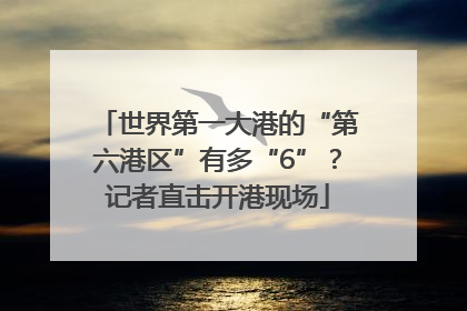 世界第一大港的“第六港区”有多“6”？记者直击开港现场
