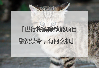 世行将解除核能项目融资禁令，有何玄机