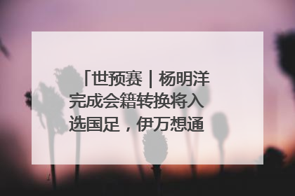 世预赛｜杨明洋完成会籍转换将入选国足，伊万想通了要打双后腰？